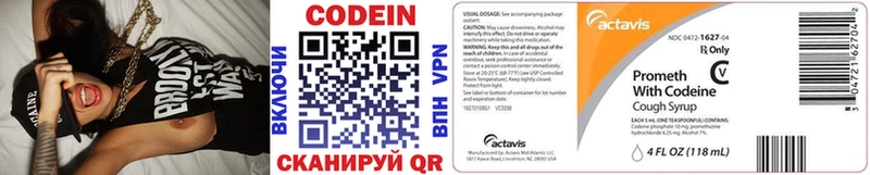 Купить где Новопавловск Кодеин напиток Lean (лин)